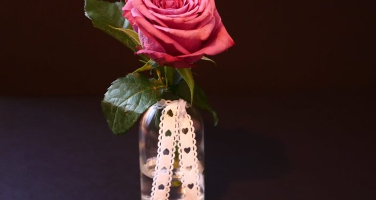 Beauty Tips And Advice To Help You Look Amazing