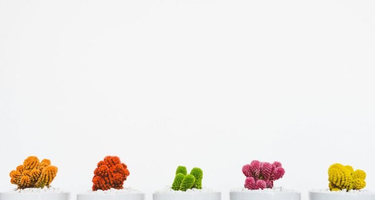 Advice For Bringing Out Your Most Beautiful Self