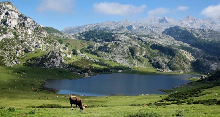 Affordable, All Natural Beauty Tips Bring Out The Best In You