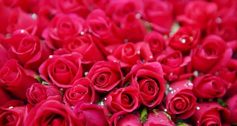 Simplify Your Beauty Routine And Look Great!