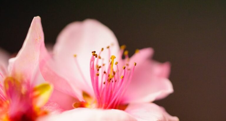 The Best Ways To Make Yourself Beautiful