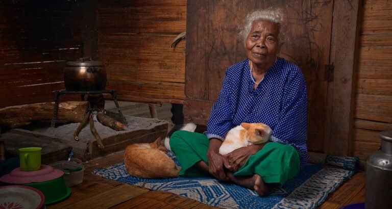 Look At This Great Article About Cat Tips