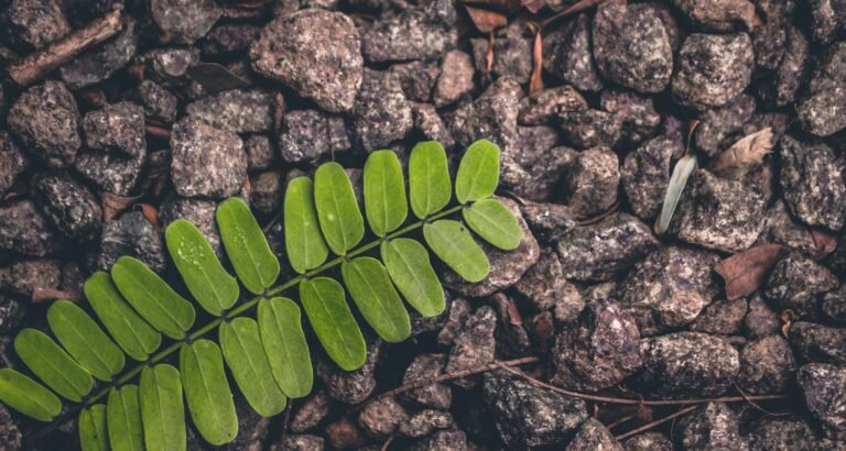 Struggling To Improve How You Look? Try This Beauty Plan